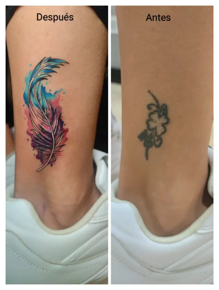 Pluma rosa y azul